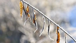  Морозы до -15 градусов ударят по северу Сахалина 25 ноября