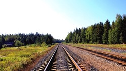 Погрузка на железной дороге в Сахалинской области с начала года выросла на 35%
