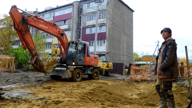 Комья сахалинского долгокопа (ФОТО и ВИДЕО)