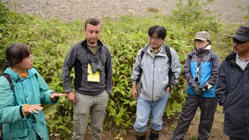 Японские биологи изучали мелких млекопитающих Кунашира