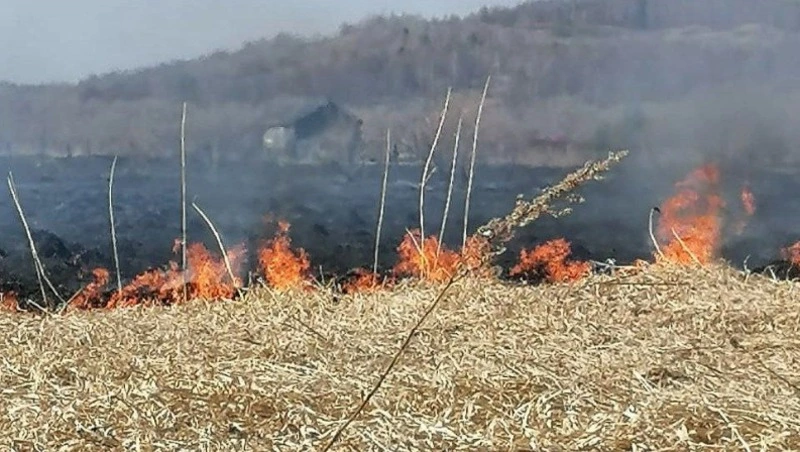 Гектар сухой травы вспыхнул в Поронайском районе 19 мая