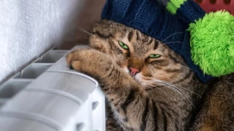 Сотни жителей Южно-Сахалинска остались без отопления 5 ноября 