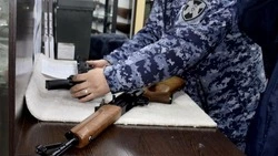 Сотрудники Росгвардии изъяли у сахалинцев 16 единиц оружия