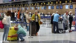 Депутаты ГД попросили ФАС проверить цены на авиабилеты перед майскими праздниками