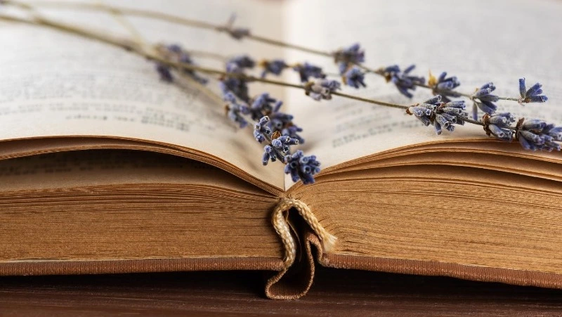 Вы весьма начитанный человек, если ответите на 7/9 — ТЕСТ