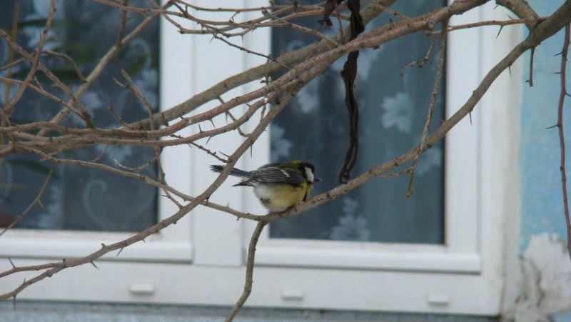 Народные приметы на 13 апреля 2024: что нельзя делать в этот день