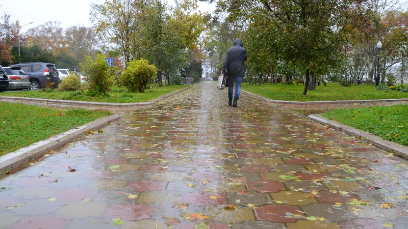 Дожди обрушатся на Сахалин. На Курилах все спокойно