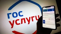Данные пользователей госуслуг оказались под угрозой