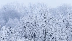 Морозы до −28 градусов ударят по Сахалинской области 27 января