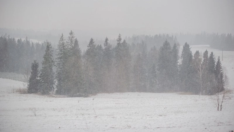 Церковный праздник 27 декабря 2024: что нельзя делать в этот день, приметы