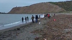 «Две штуки в минуту»: жители Томари ринулись на побережье моря за скумбрией