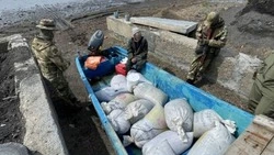 Мужчины украли из озера Буссе морских огурцов на 6 млн рублей