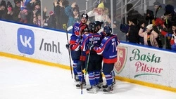 «Сахалинские Акулы» взяли реванш у хоккейного клуба «СКА-Карелия» 