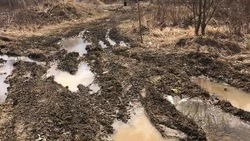 Жителей Октябрьского не устроила грязь от колес спецтехники вместо палисадника