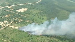 Лесной пожар на 30 гектарах земли тушат на севере Сахалина