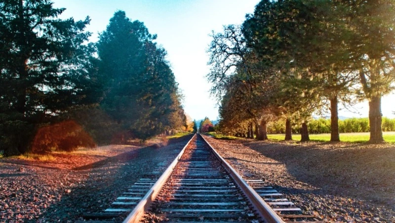 Рельсовые автобусы «Орлан» заменят простыми вагонами на Сахалине