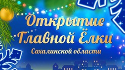 Главную елку Сахалина торжественно откроют у Дома правительства 16 декабря