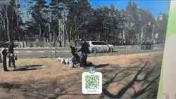 Две 13-летние девочки на электросамокате врезались в пешехода в Южно-Сахалинске 