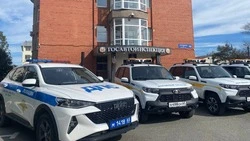 В минтрансе подвели итоги годовой работы службы «Дорожный патруль»