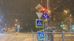 Жителей Южно-Сахалинска предупредили о перекрытии въезда в городской парк