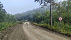 В Смирныховском районе объявили режим ЧС из-за аварийного моста через Житницу