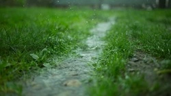 Погода на Сахалине и Курилах 15 июля: тепло, местами дожди