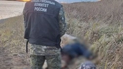 Труп 70-летнего мужчины выбросило на берег реки в Поронайском районе