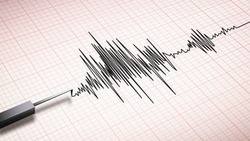 Сахалинский ученый усомнился в прогнозах по землетрясениям на Дальнем Востоке