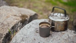 Опытный гид пристыдила «туристических цыган», отдыхающих на Курилах