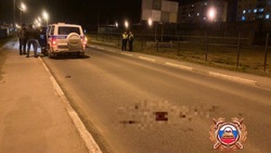 Водитель Toyota Caldina сбил внезапно вышедшего на дорогу пешехода в Невельске 