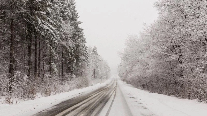 Рейсы 12 автобусных маршрутов на Сахалине отменят из-за приближающегося циклона