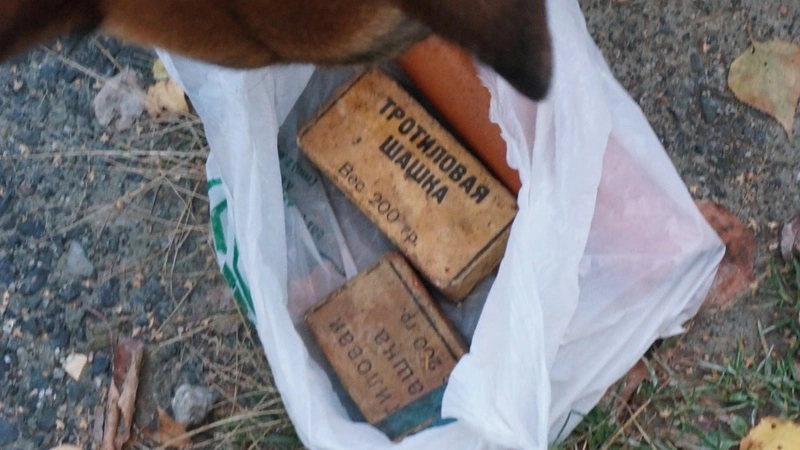 Сахалинец обнаружил в своем контейнере тротиловые шашки