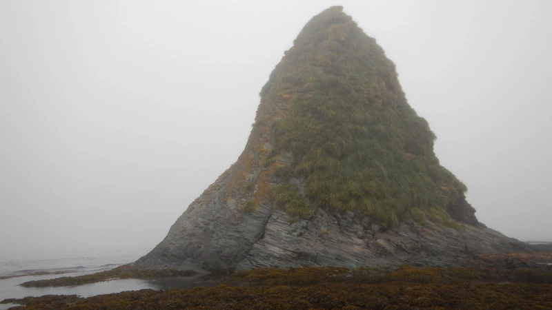 Пятый канал показал тайные красоты Курильских островов. «Как Галапагосы»