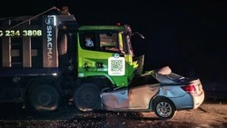 Скончался на месте: в Углегорском районе водитель седана столкнулся с грузовиком