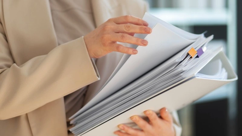 Прием заявок на получение новой семейной выплаты стартует с 1 июня