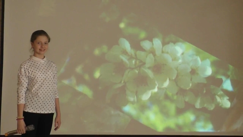 Ольга Шевченко. «Мой Сахалин»