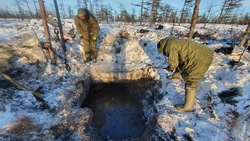 Детали советского высокоскоростного бомбардировщика Ту-2 нашли на Сахалине
