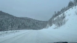 На Сахалине из-за циклона ограничат передвижение 14 межмуниципальных автобусов