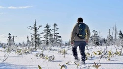 В «Курильском» заповеднике подвели итоги уходящего года