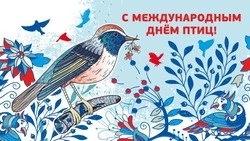 Международный день птиц 2025: красивые, весенние и душевные картинки