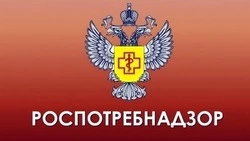 Роспотребнадзор ограничил работу четырех детских садов в Южно-Сахалинске