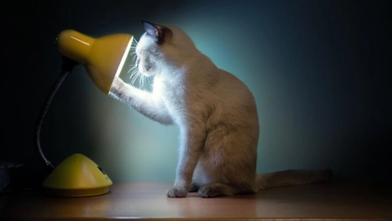 Планировочный район и часть Южно-Сахалинска остались без света 5 ноября 