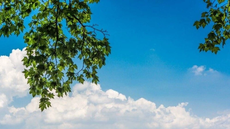 Прогноз погоды на Сахалине и Курилах 14 октября: +19 и ясное небо