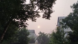 Дымовая завеса рассеивается на севере Сахалина