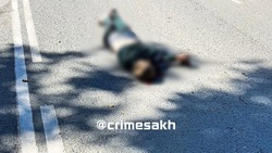 Водитель экскаватора насмерть сбил пешехода в Южно-Сахалинске днем 16 сентября