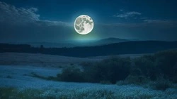 Новолуние в июне 2024 года: дата, как повлияет на знаки зодиака