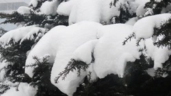 Снежно и морозно будет в Сахалинской области 8 февраля