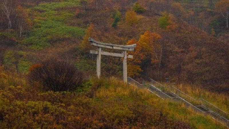 Новые туроператоры