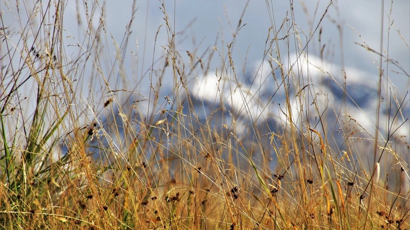 Штормовой ветер идет на Курилы. На Сахалине местами солнце и снег