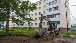 В одном из дворов Южно-Сахалинска высадят более 20 новых деревьев 